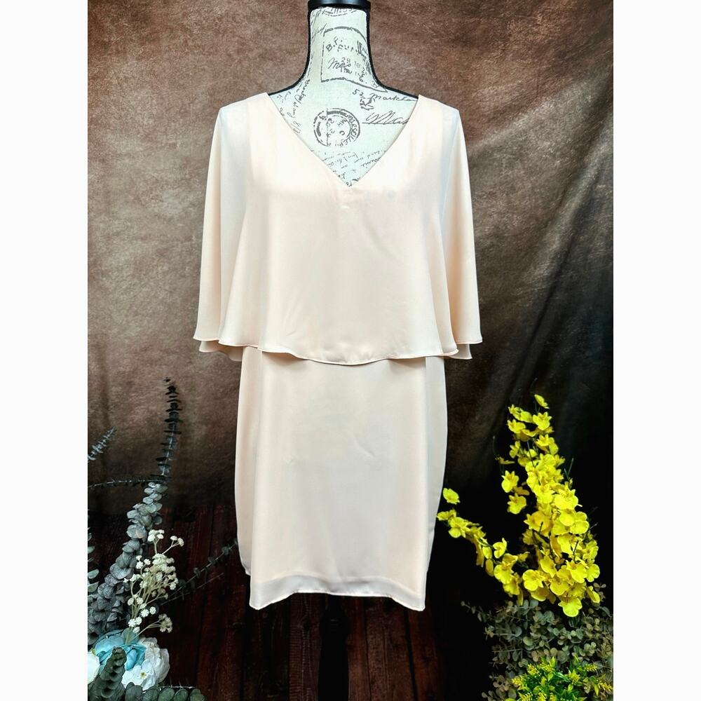 Three Eighty Two V Neck Overlay Chiffon Mini Dres… - image 2